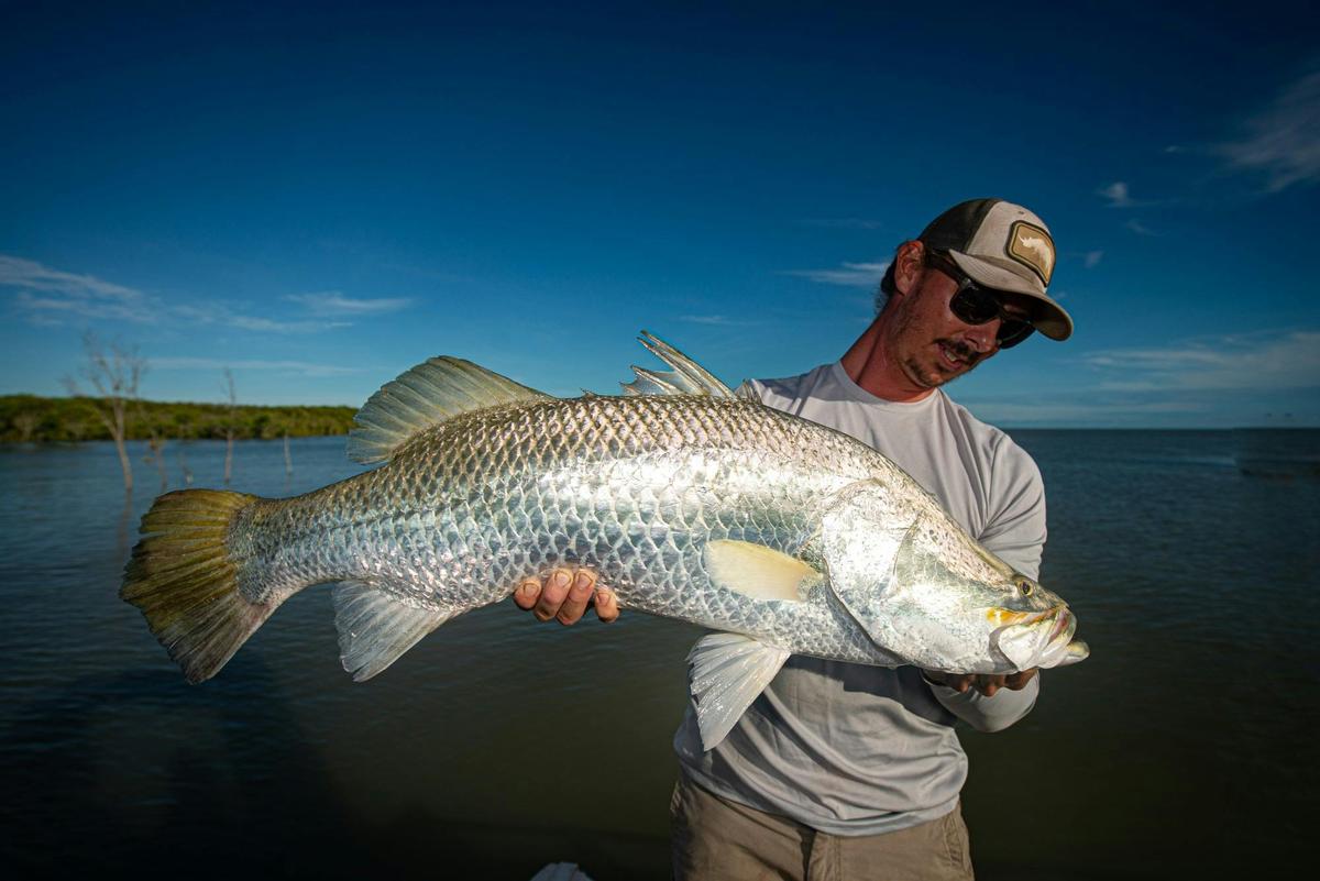 1 Day Saltwater Barra Fishing