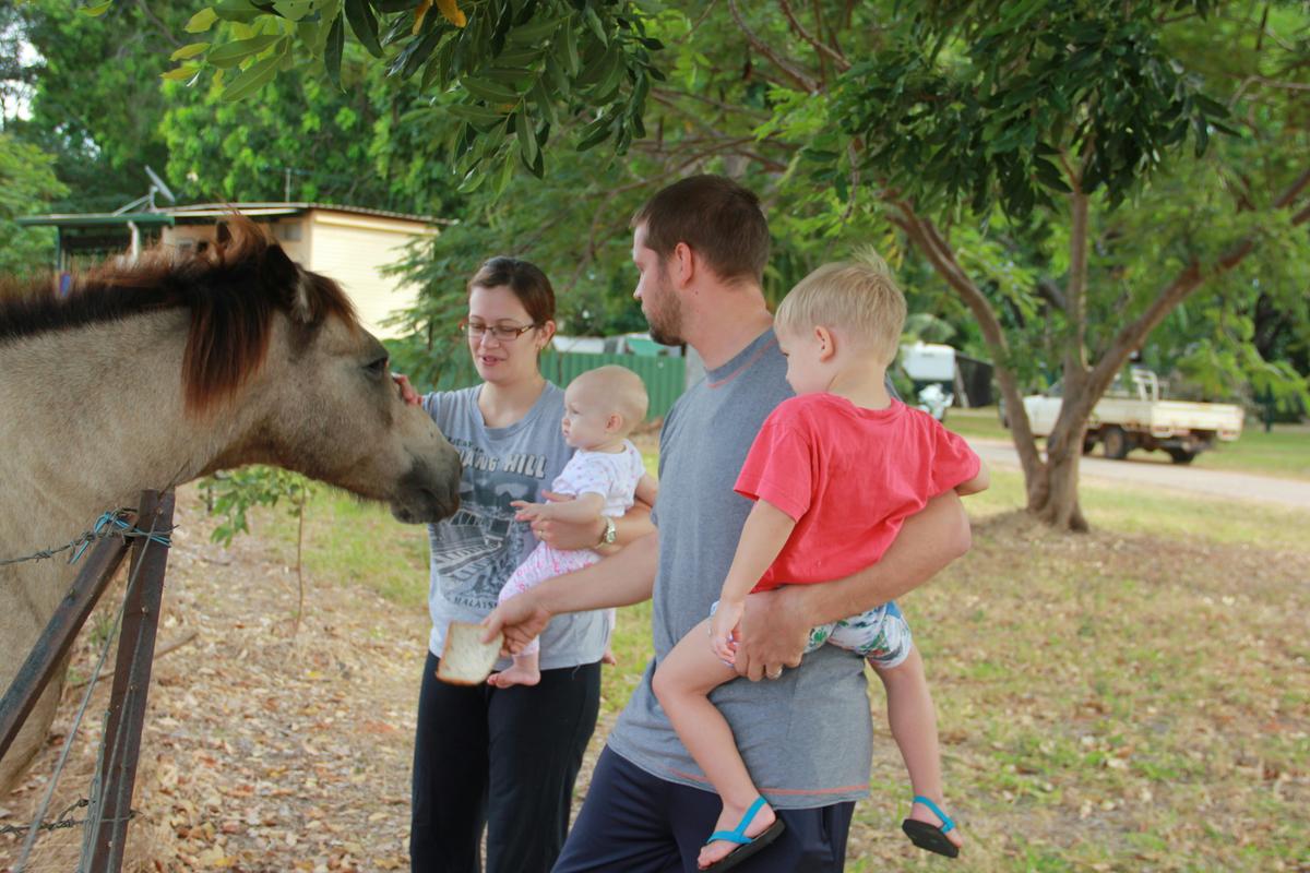Patting the horses.