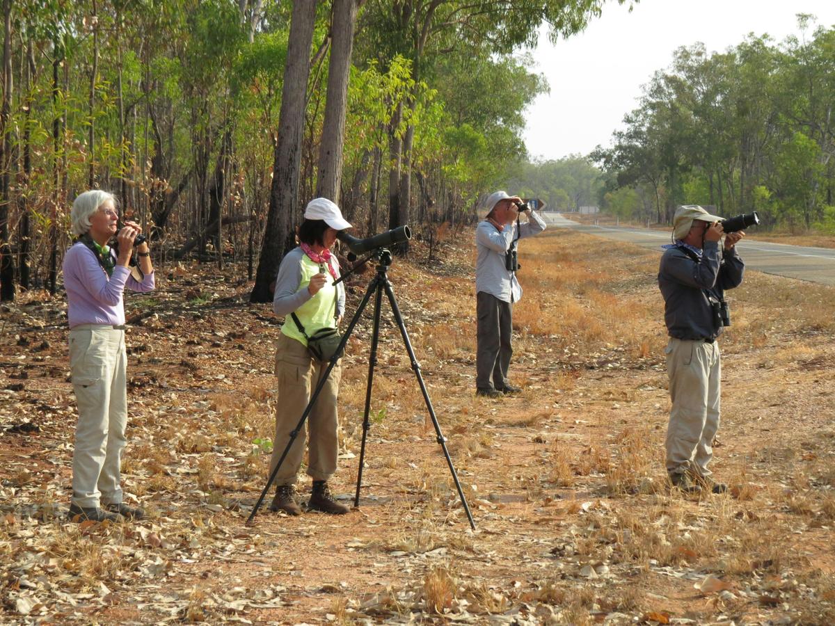10 Day Ultimate Top End Birdwatching Adventure Tour