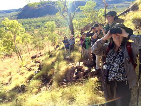Private birdwatching, photography and landscape tours