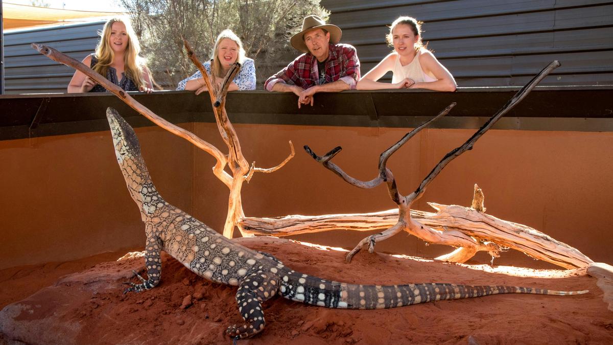 Perentie