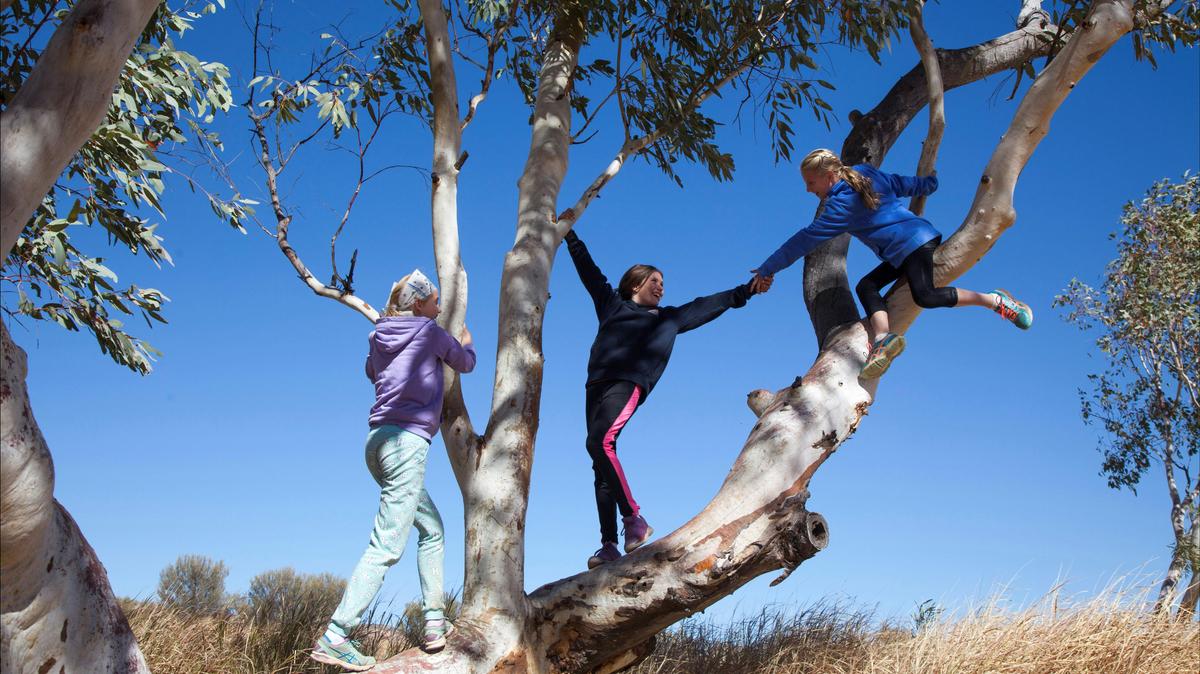 Plenty of nature based activities to enjoy