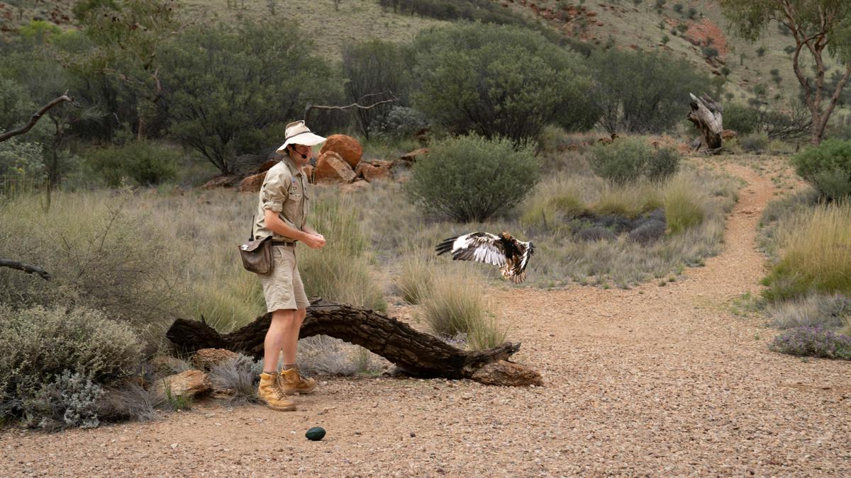 Alice Springs Desert Park