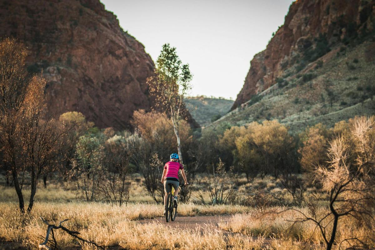 A woman riding a mountain bike on the path towards Simpsons Gap