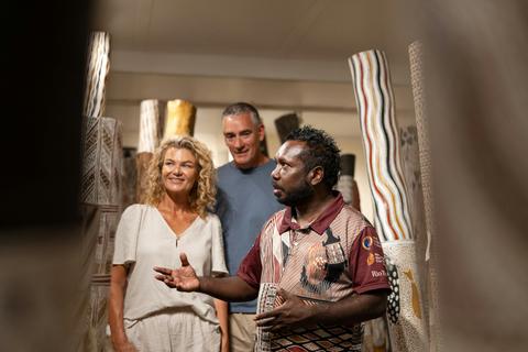 Guided Art Centre & On Country Tour