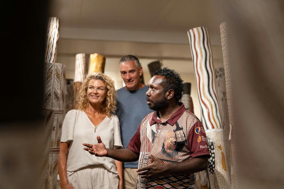Guided Art Centre & On Country Tour