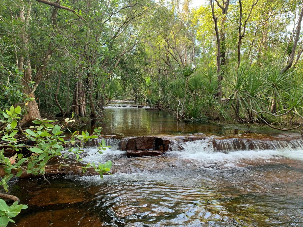 Tabletop Track - creek crossing between Wangi Falls and Southern Campground