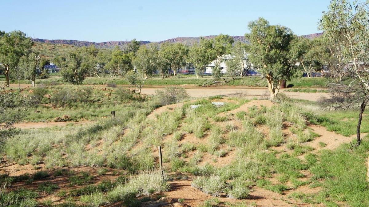 General view of man-made dirt mound in which the seismic vault is located