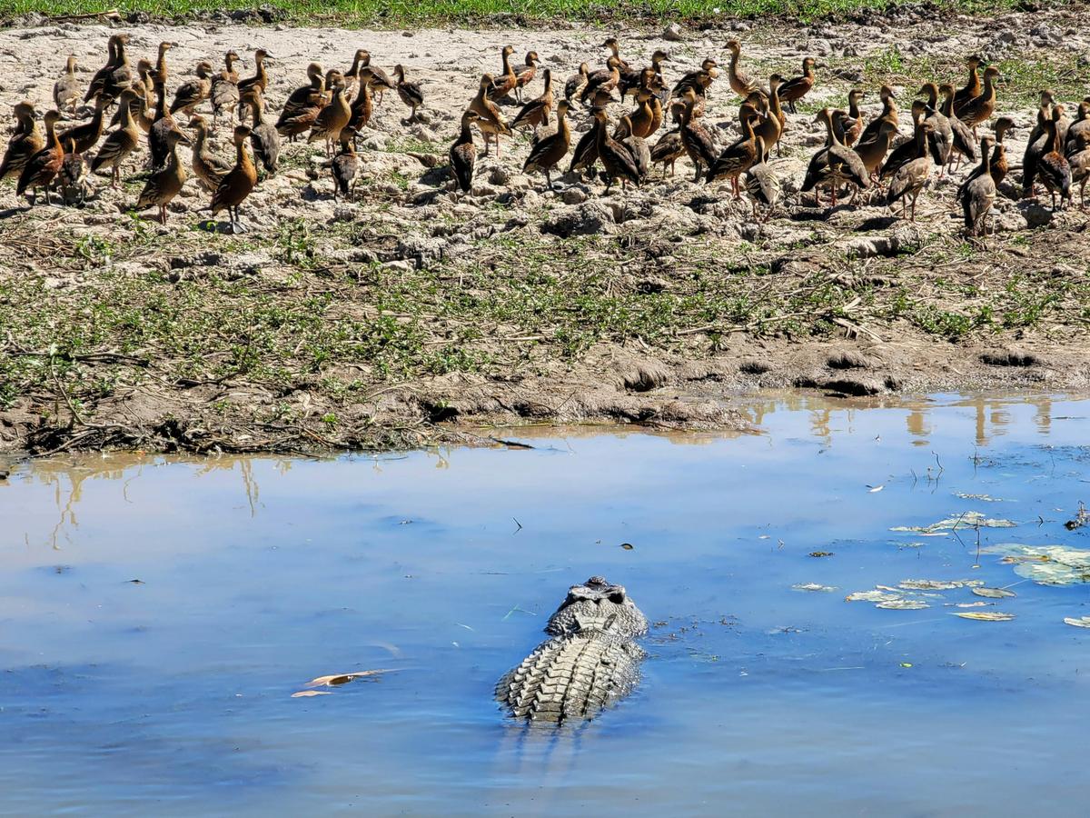 Kakadu and Litchfield Hiking Adventure