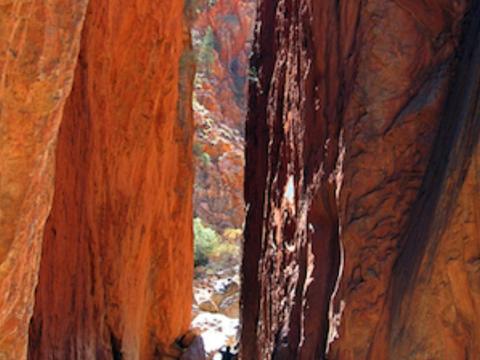 Larapinta & the East MacDonnells -9 Day - Group-Guided