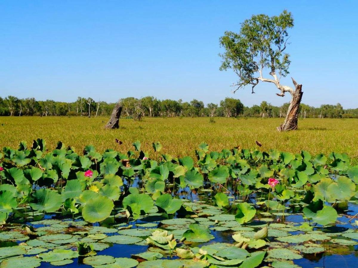 Kakadu, Litchfield & Katherine - 8 Day - Group-Guided