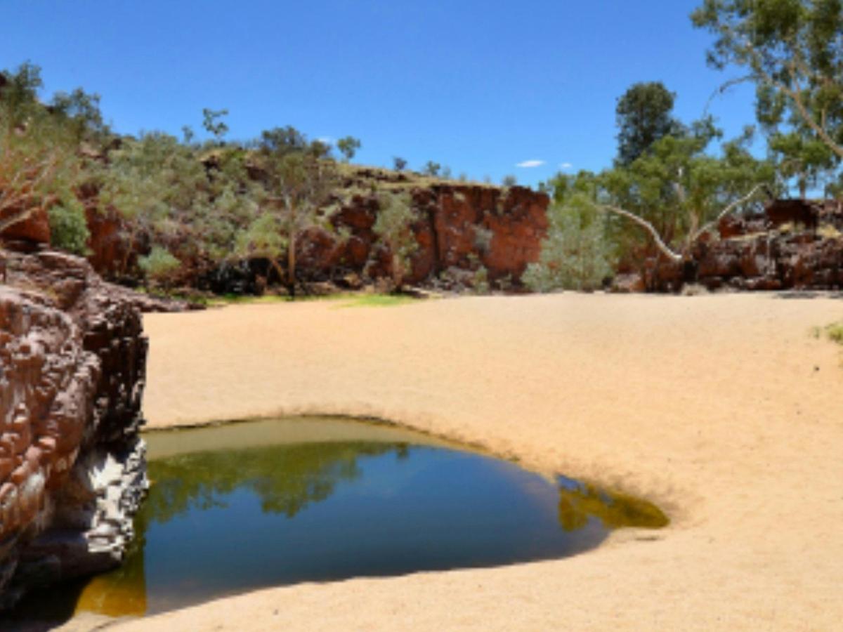 Larapinta & the East MacDonnells -9 Day - Group-Guided
