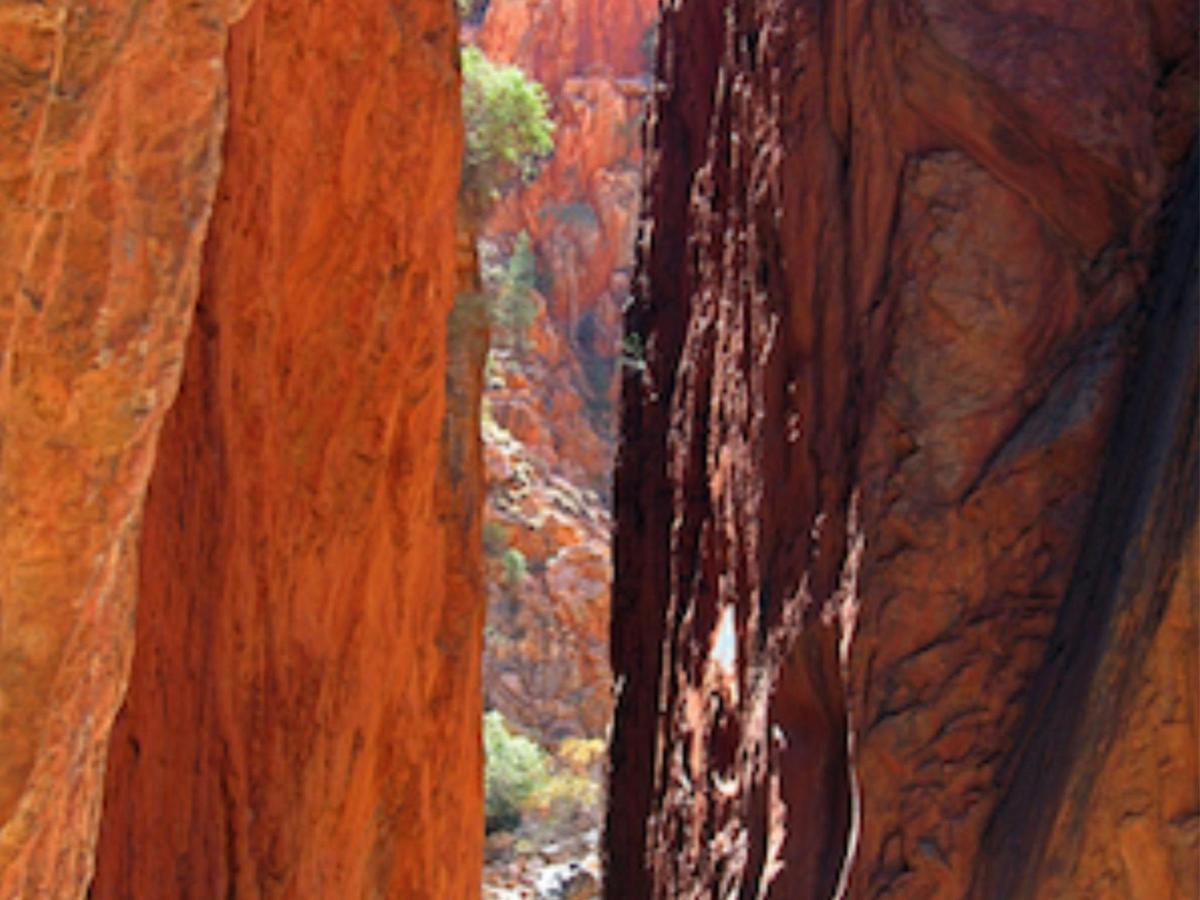 Larapinta Trail - 7 Day - Group-Guided
