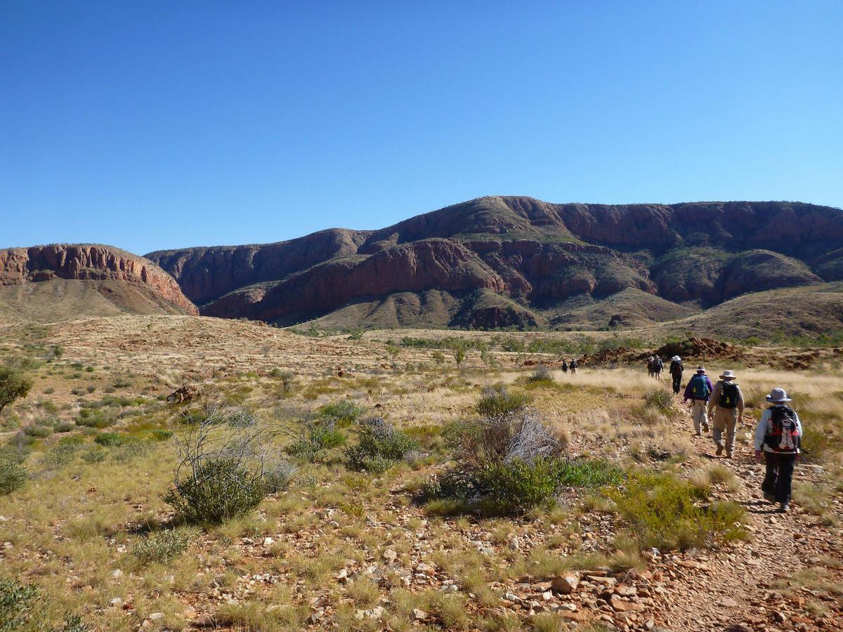 Red Centre - Uluru, Kata Tjuta, Kings Canyon and Larapinta - 6 Day - Group Guided