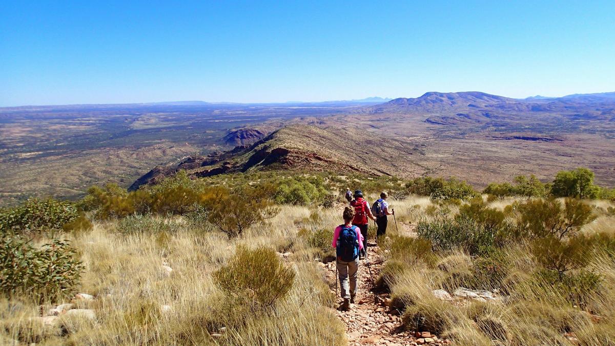 Red Centre - Uluru, Kata Tjuta, Kings Canyon and Larapinta - 6 Day - Group Guided