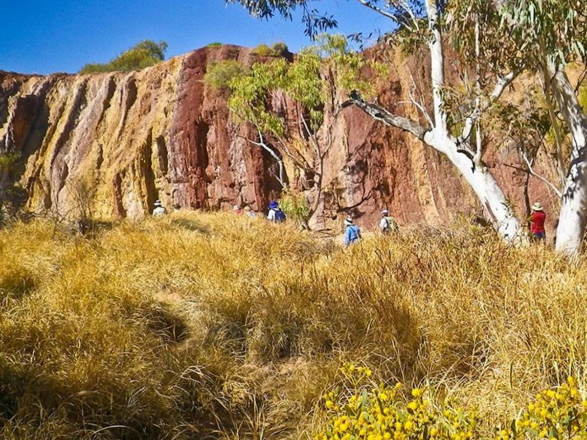 Larapinta & the East MacDonnells -9 Day - Group-Guided