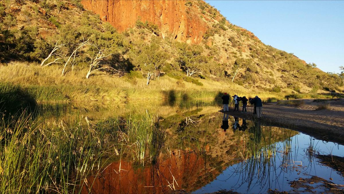Special Interest MacDonald Ranges tours with Spirit Safaris
