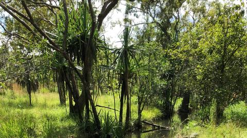 Rum Jungle Ridge
