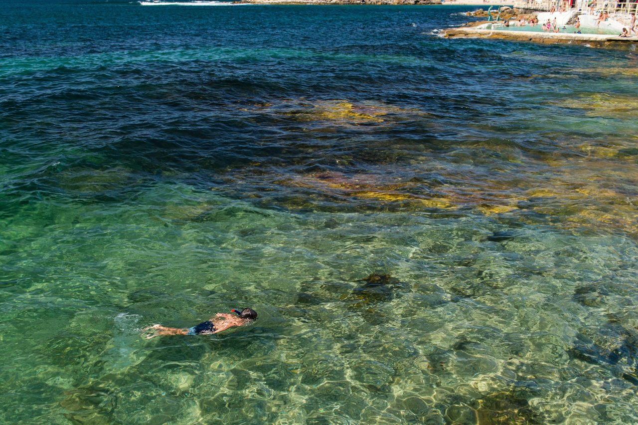 Snorkelling in Cabbage Tree Bay