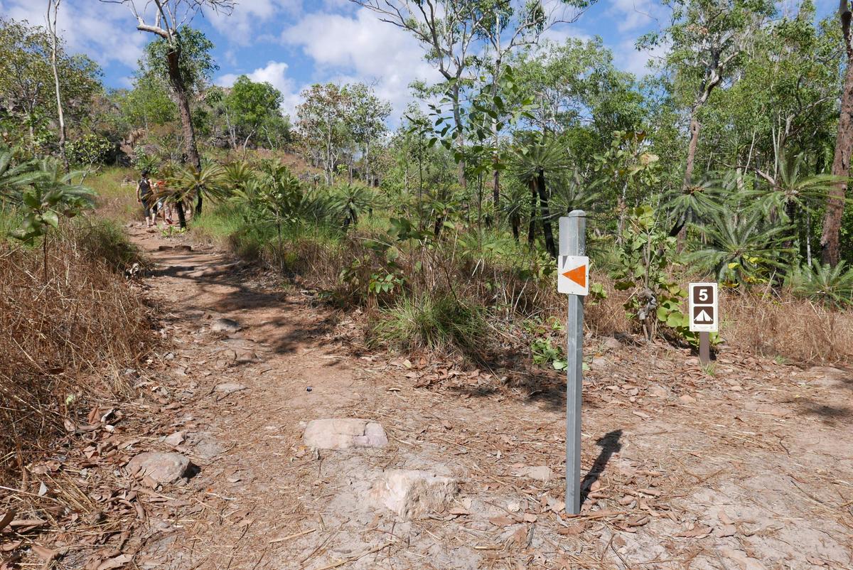 Walker Creek walk, Site 5