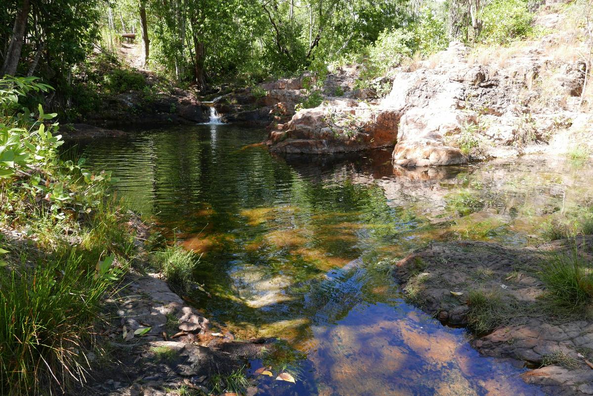 Walker Creek, Site 8