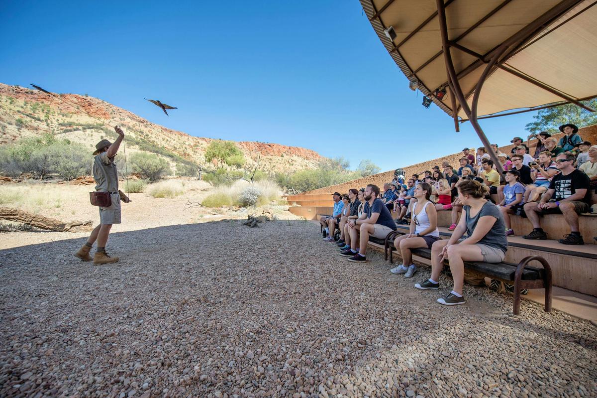 Witness free-flying birds of prey in the Nature Theatre