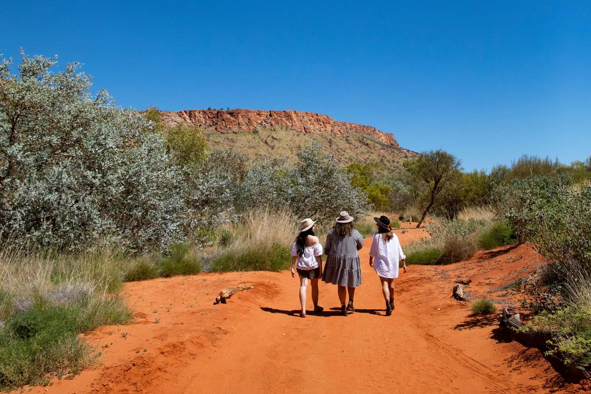 Take easy walking trails through three desert botanical habitats including Sand Country