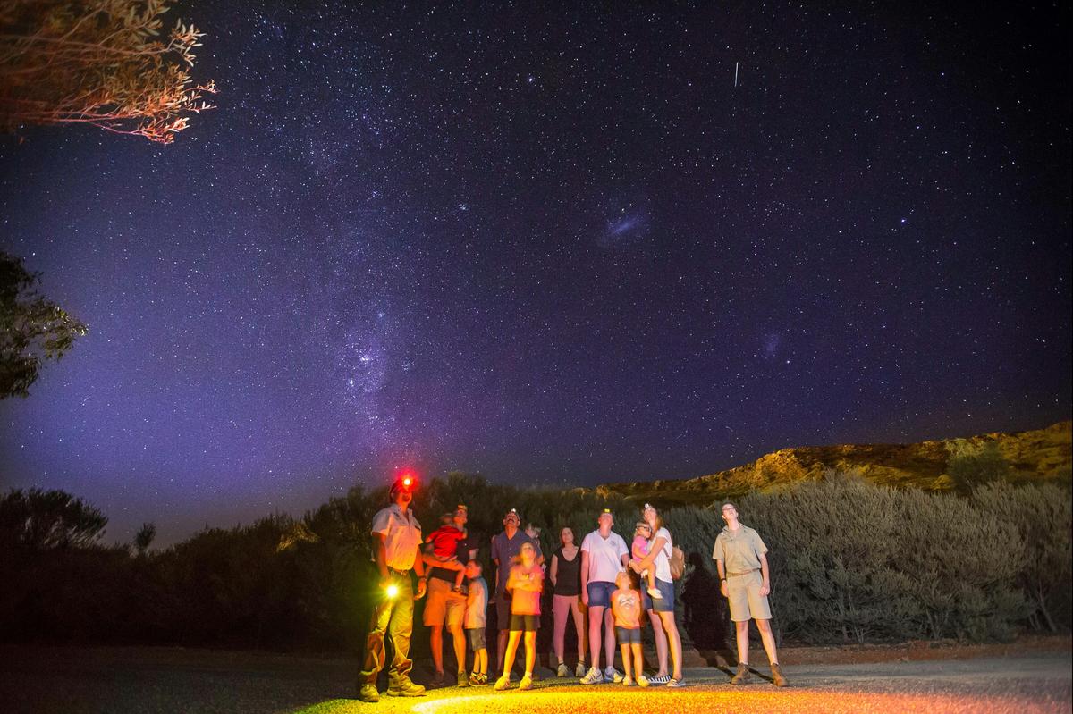 Look to the sky on a Nocturnal Tour