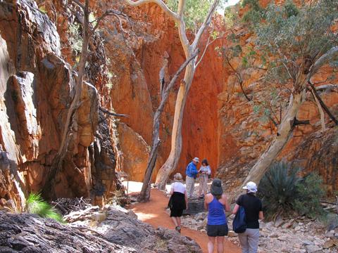 Larapinta Highlights - Eastern End with Mt Sonder - Northern Territory - 7 Days