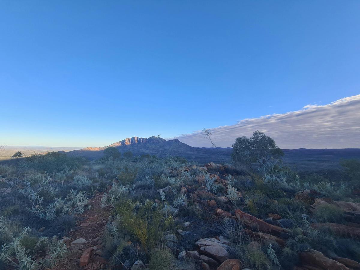 Larapinta Highlights - Eastern End with Mt Sonder - Northern Territory - 7 Days