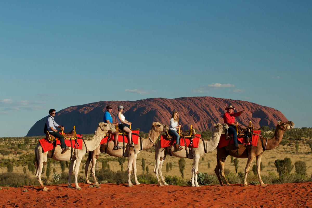 Camel Express