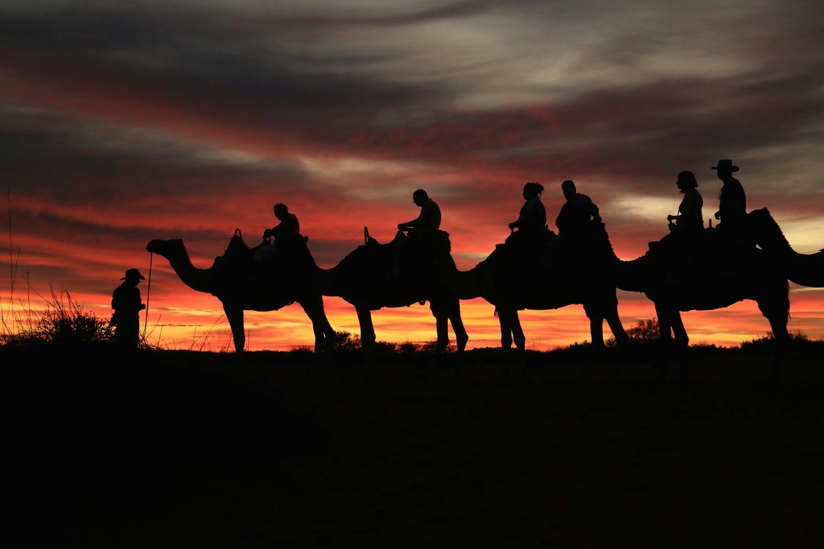 Camel to Sunset