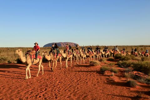 Camel Express