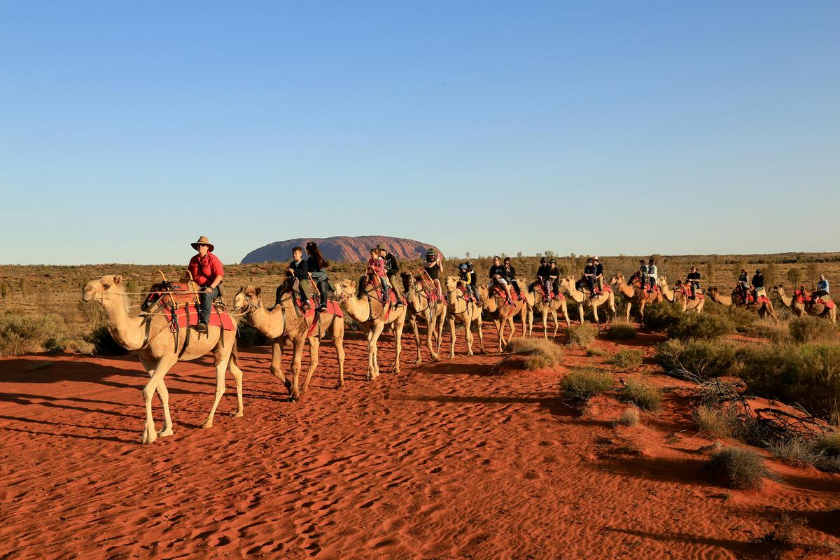 Camel Express
