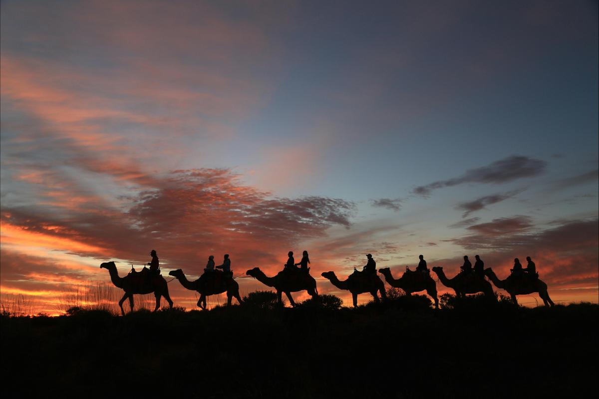 Camel to Sunset