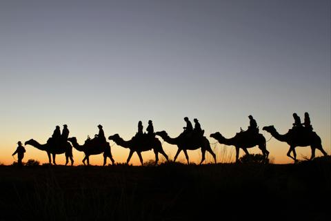 Camel to Sunset