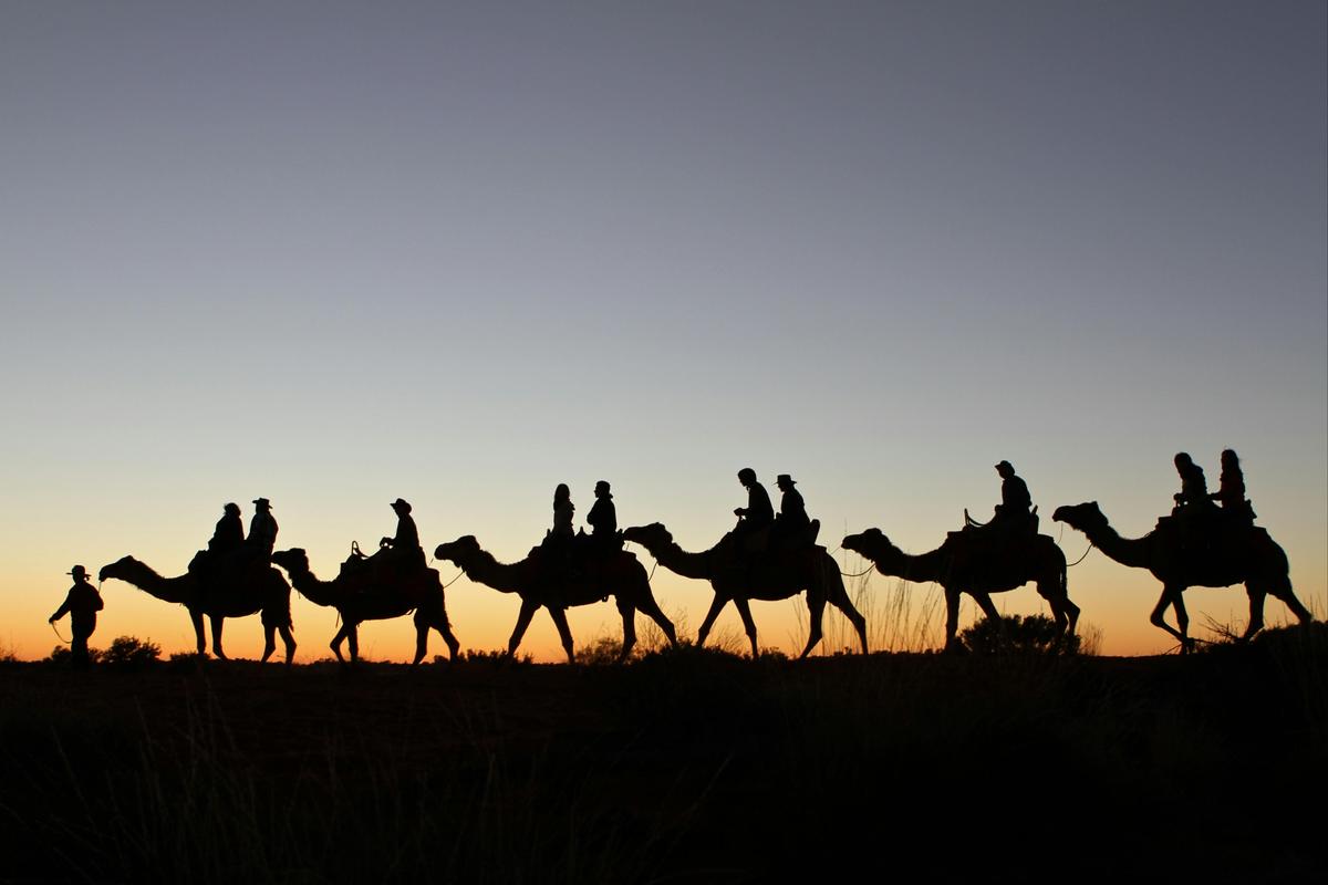 Camel to Sunset