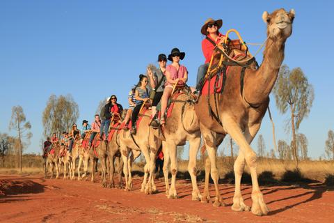 Camel Express