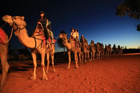 Camel to Sunrise
