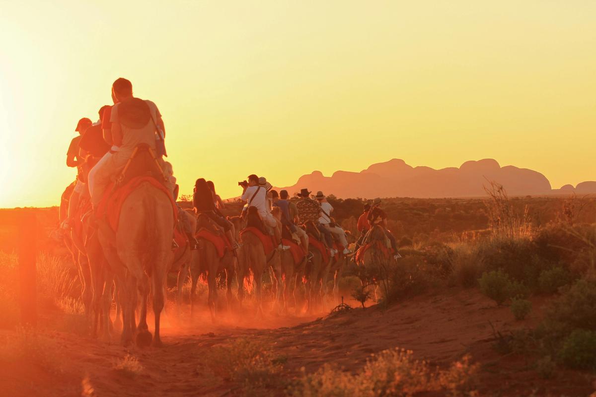 Camel to Sunset