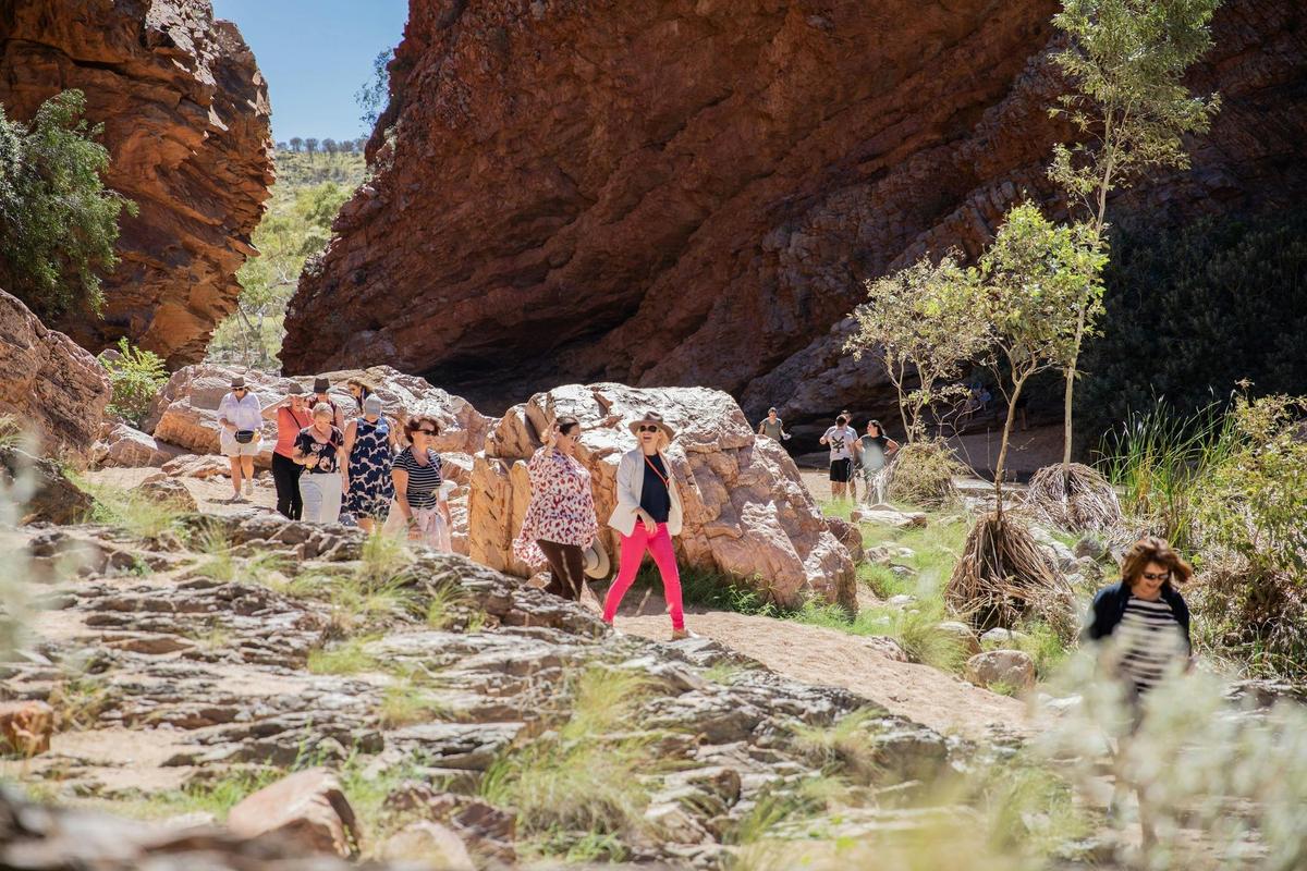 West MacDonnell Ranges Tjoritja & Standley Chasm