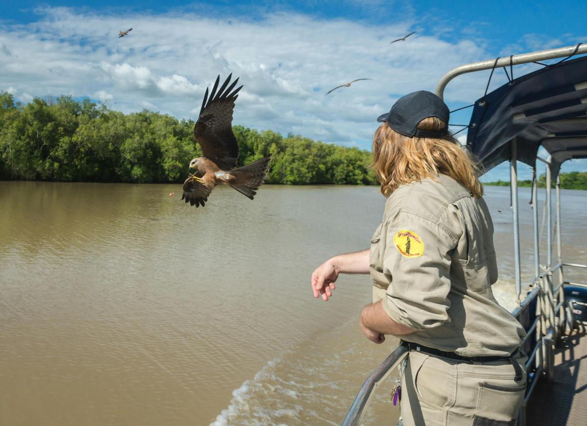 Half Day Jumping Crocodile Cruise on Adelaide River