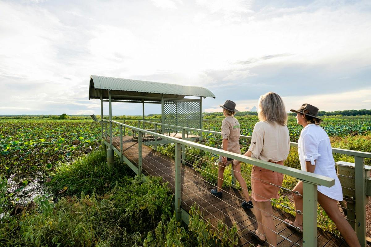 Litchfield National Park with Fogg Dam Wetlands