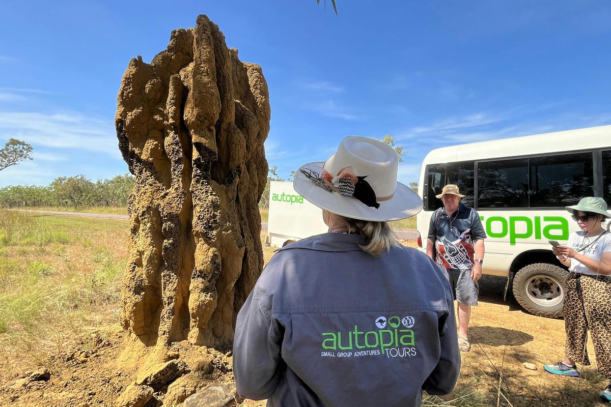 4 Days Kakadu & Katherine Gorge Cultural Comfort Tour (Accommodated)