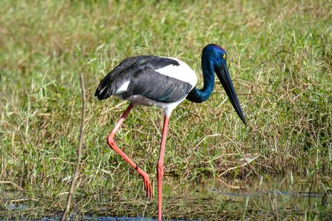 Kakadu National Park with Fogg Dam Wetlands