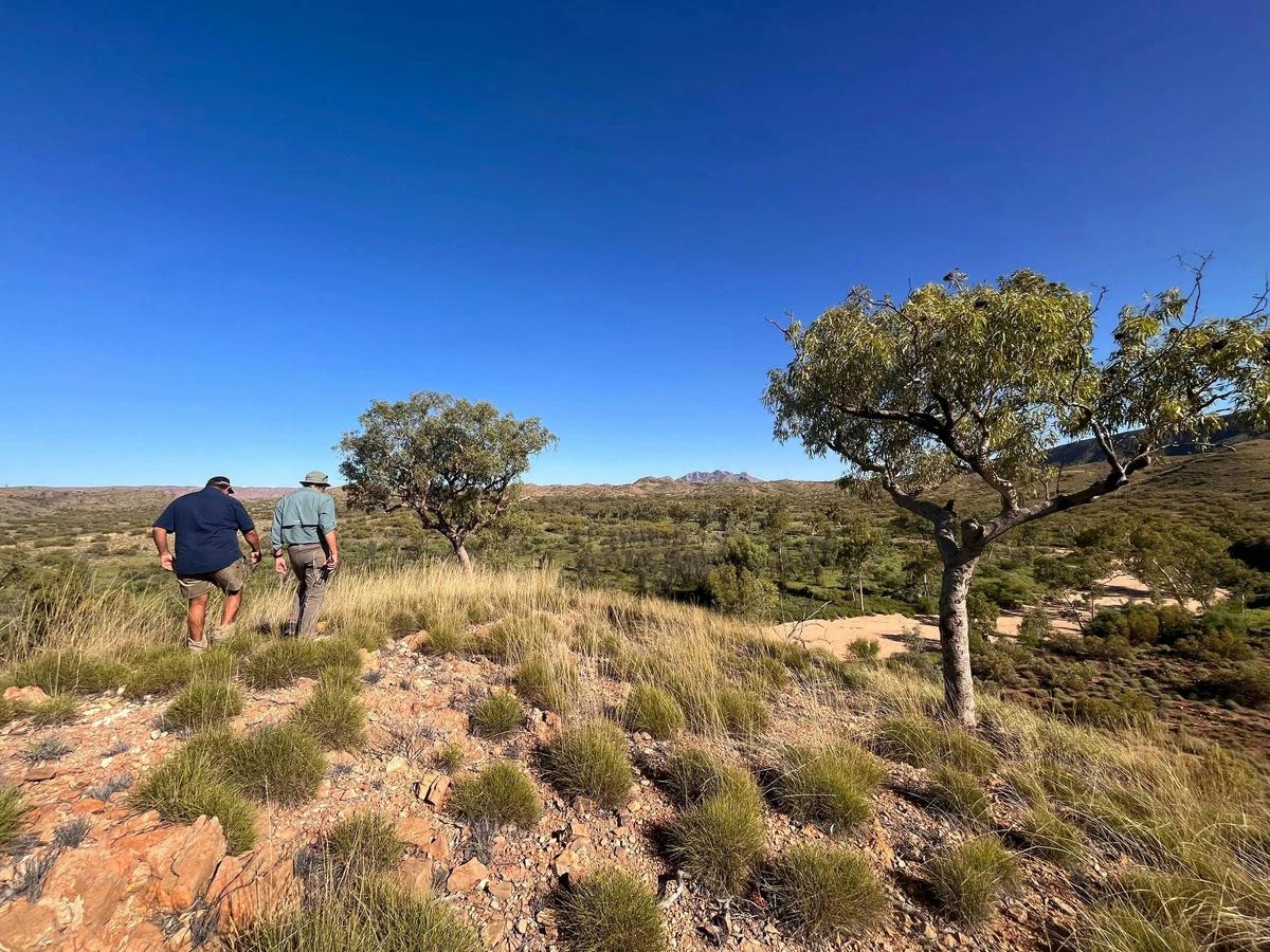 Taarna Valley guided walking tours with Arrarnta guides