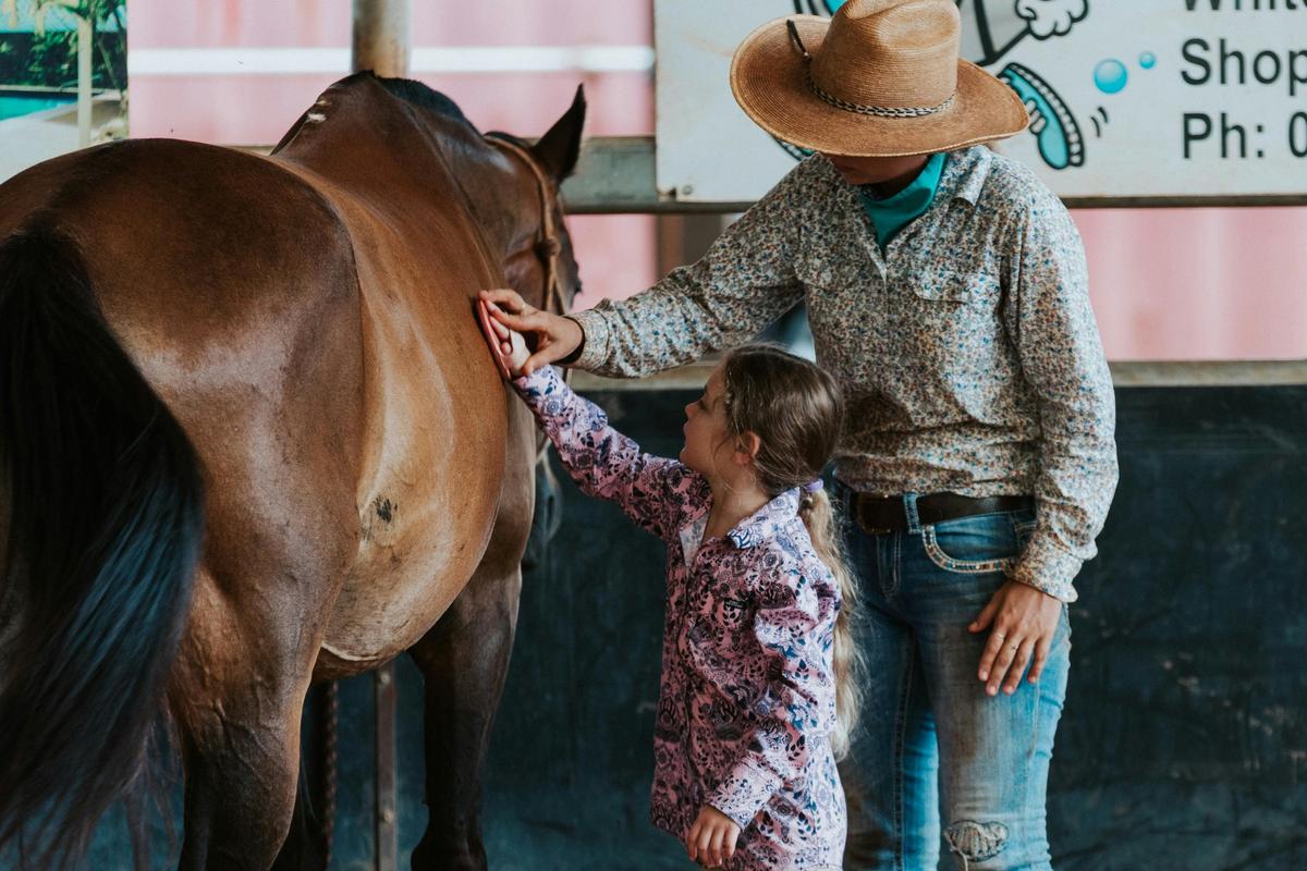 Learning to groom a horse