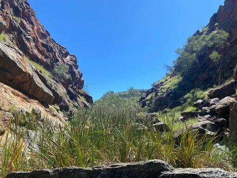 Wallaby Gap