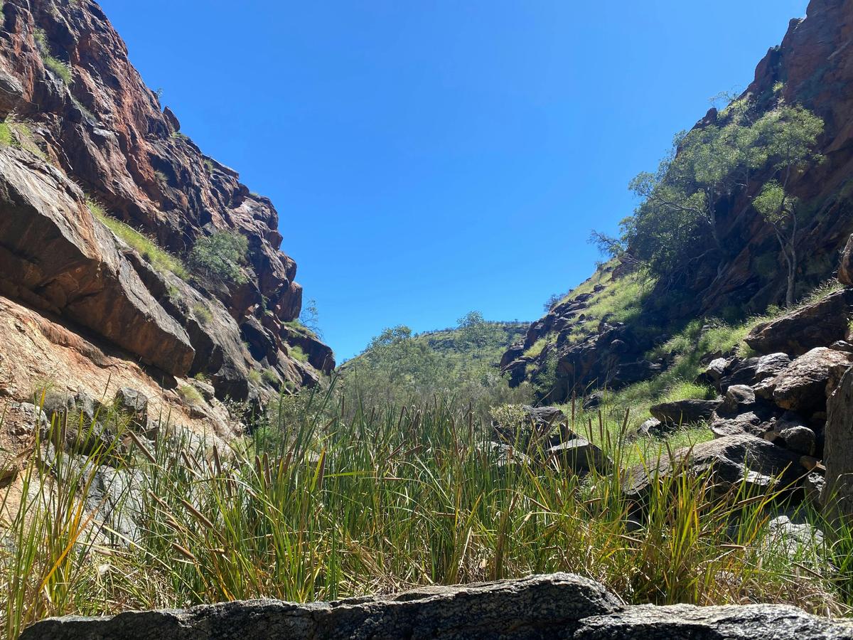 Wallaby Gap