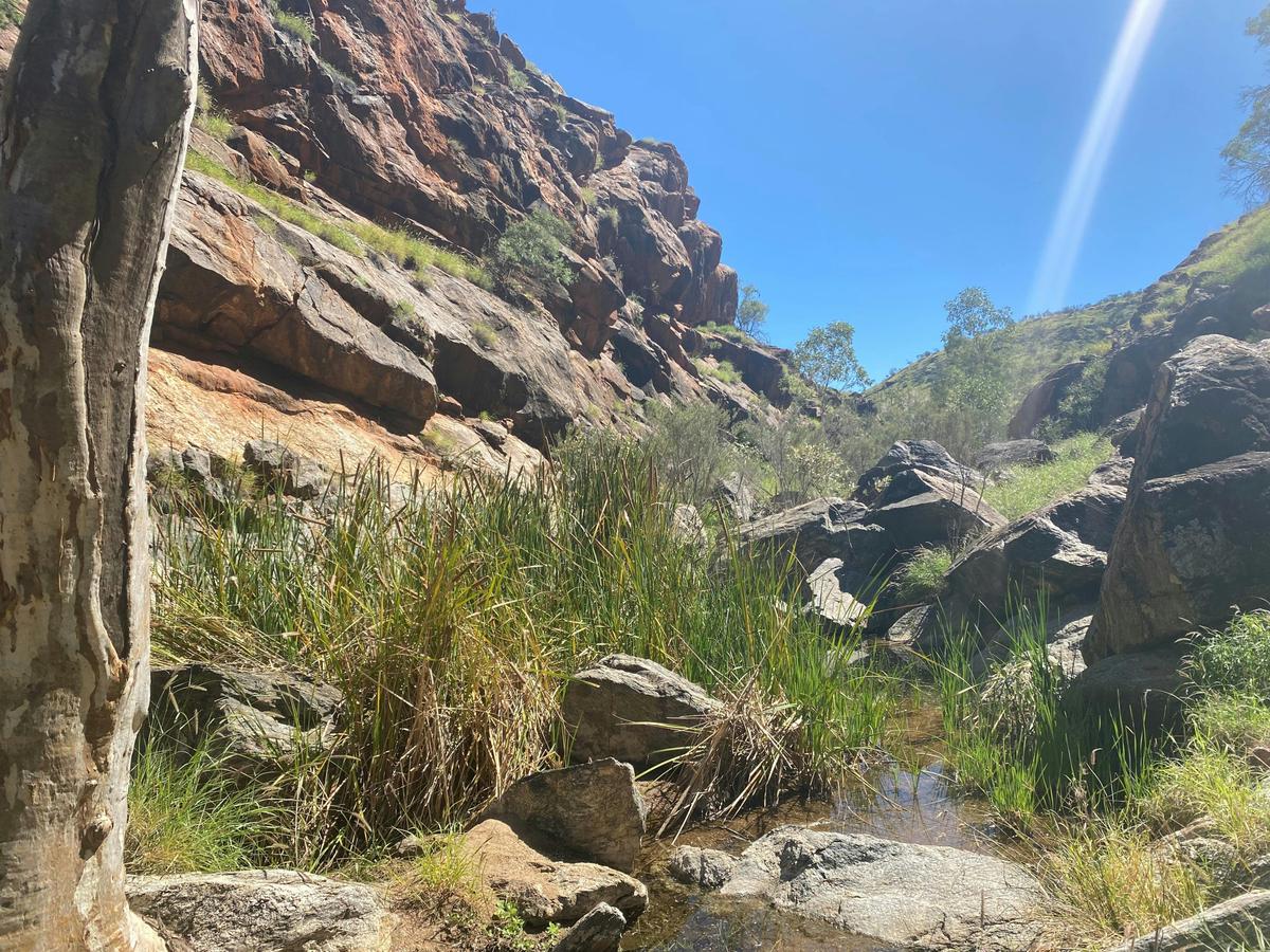 Wallaby Gap